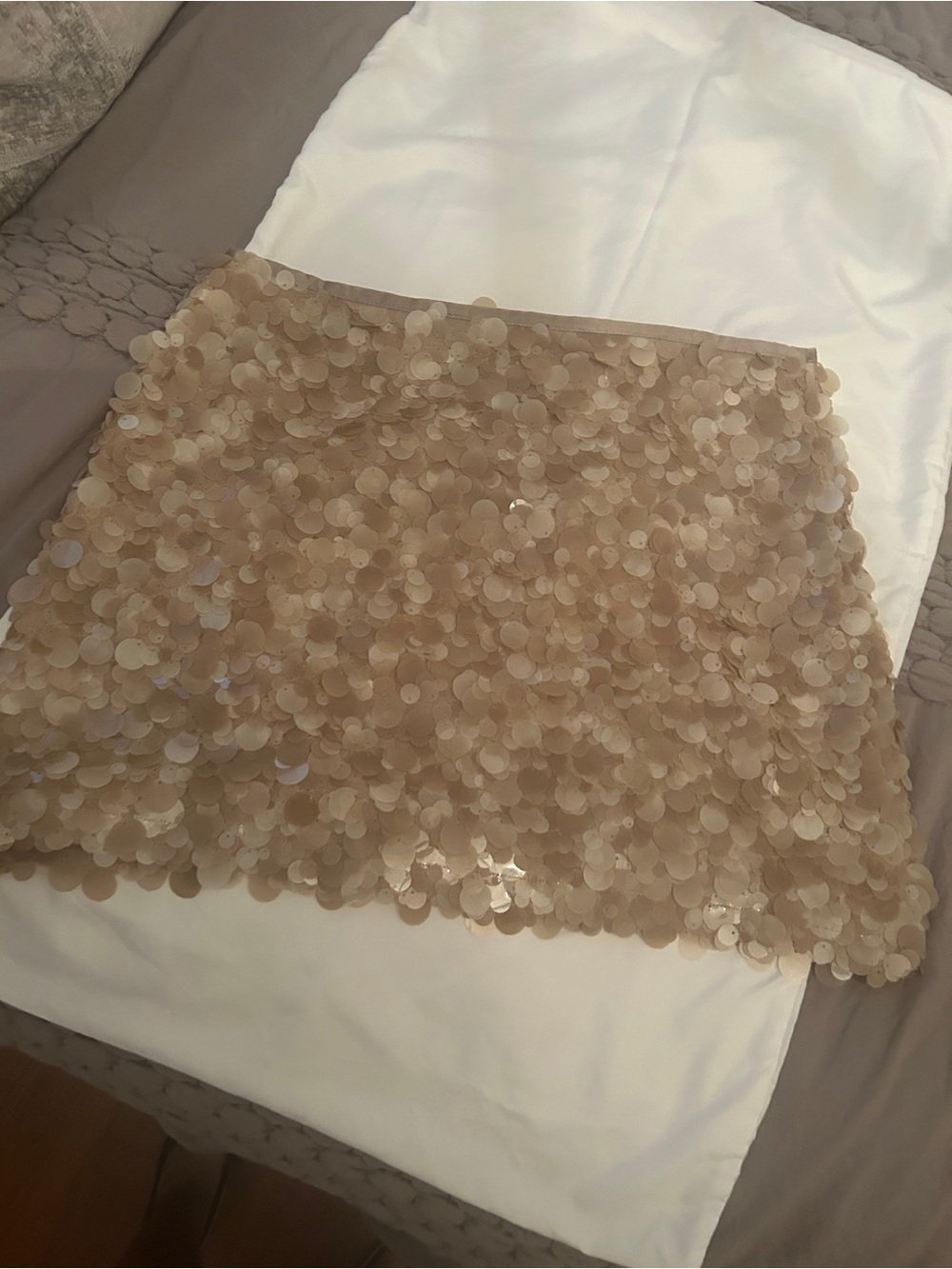 Zara Champagne Sequin Mini Skirt